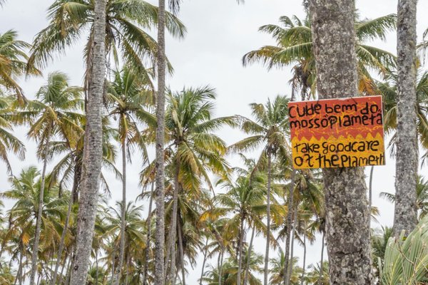 Les Impacts Dévastateurs de la Déforestation sur la Biodiversité : Une Analyse Profonde